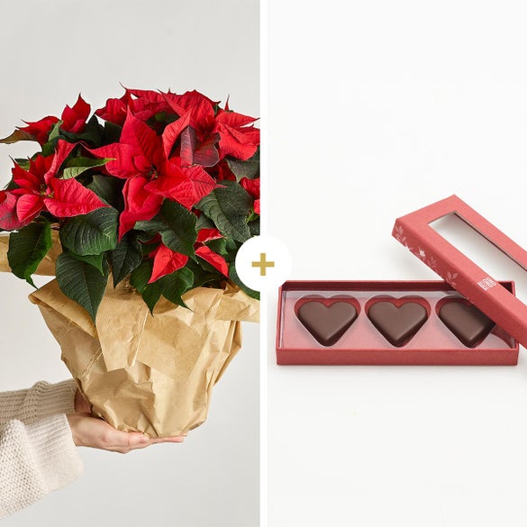 Julestjerne med CHO CHO marcipanhjerter